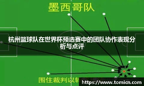杭州篮球队在世界杯预选赛中的团队协作表现分析与点评